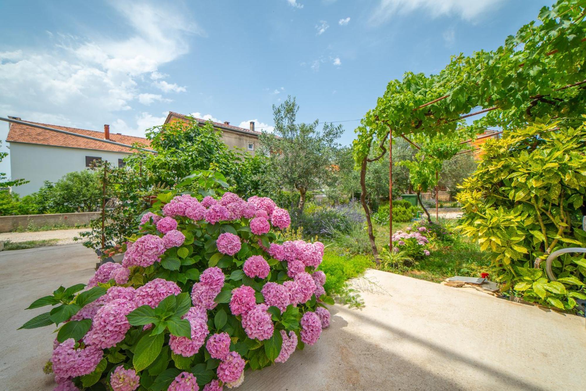 House Of Mile Hotel Zadar Exterior foto